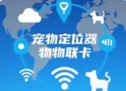 物联网卡：宠物追踪器的"隐形守护神"，实时定位防走失更安心